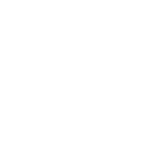 The Flying Cortes